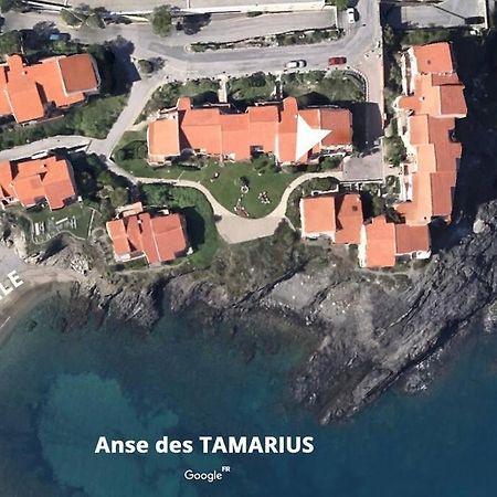Collioure Appart En Bord De Mer Plage A 50M Clim Garage Location Du Samedi Au Samedi Luaran gambar