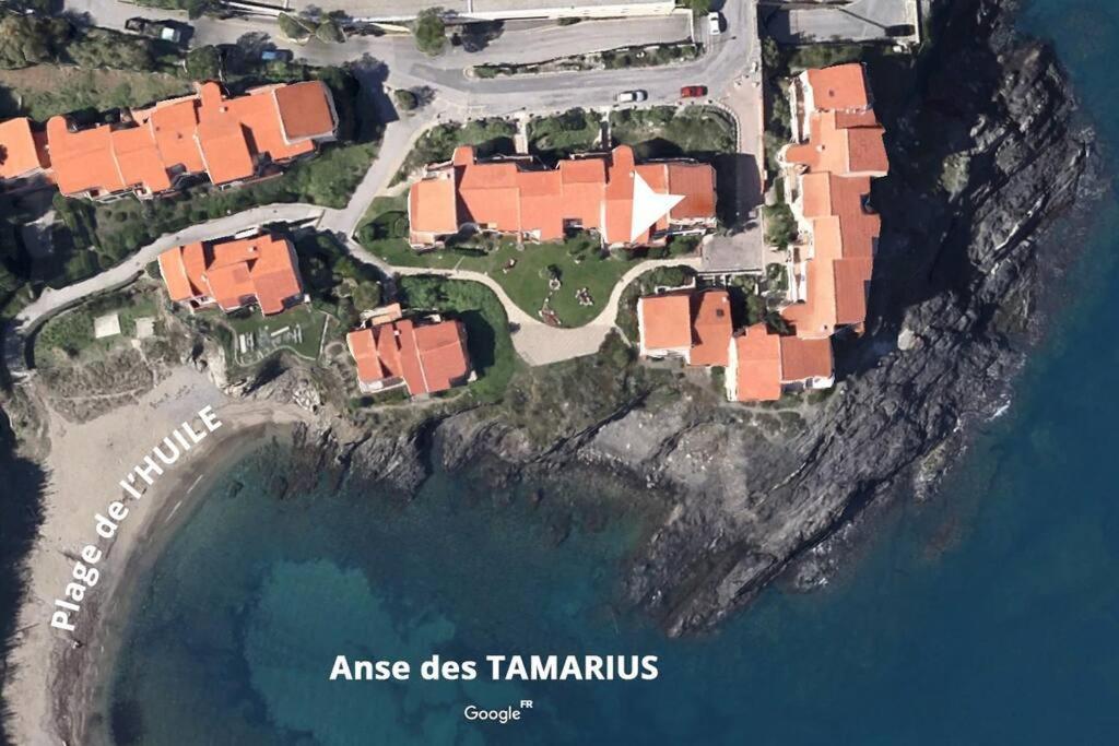 Collioure Appart En Bord De Mer Plage A 50M Clim Garage Location Du Samedi Au Samedi Luaran gambar